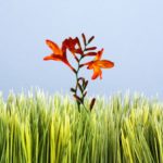 Want to grow?